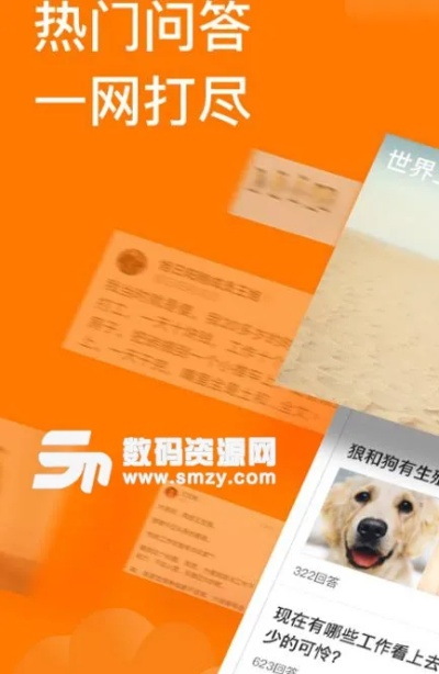 官方下载悟空问答，探索版，解析专家观点，你的知识宝藏！