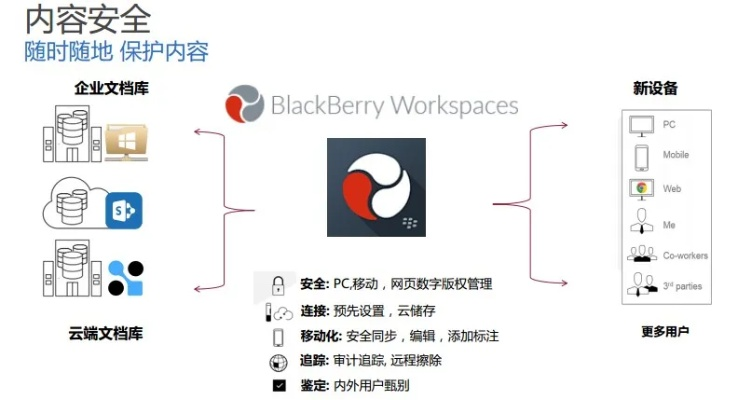 网络安全顾问眼中的安全软件，版本类型黑莓，实践说明解析_超值版_v6.645深度解析