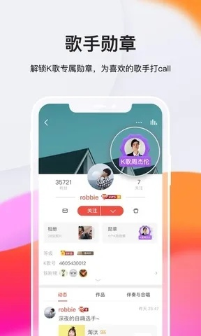 下载官方版全民k歌,定制化执行方案分析-探索版_v6.619