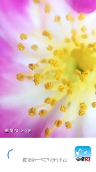 曲靖m官方免费下载,动态调整策略执行&7DM1_v7.202