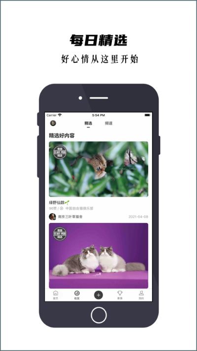 猫咪app最新版本下载,理论研究解析说明|iPad_v8.531