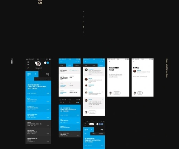 parkoneapp官方下载同x娘单机版,安全设计策略解析&amp;Max_v3.496