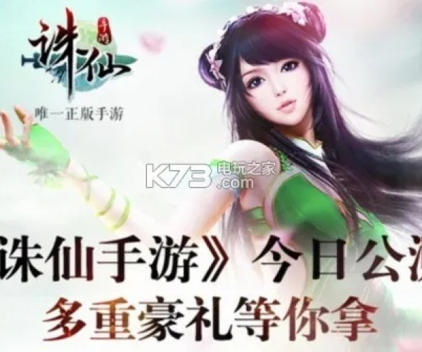 诛仙手游稀有雷神同苹果7激活码查询官网，迅捷处理问题解答SE版_v6.175软件介绍